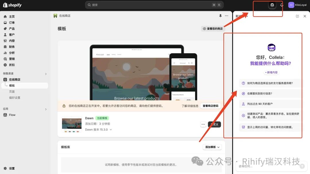 Shopify 后台 Sidekick 入口截图
