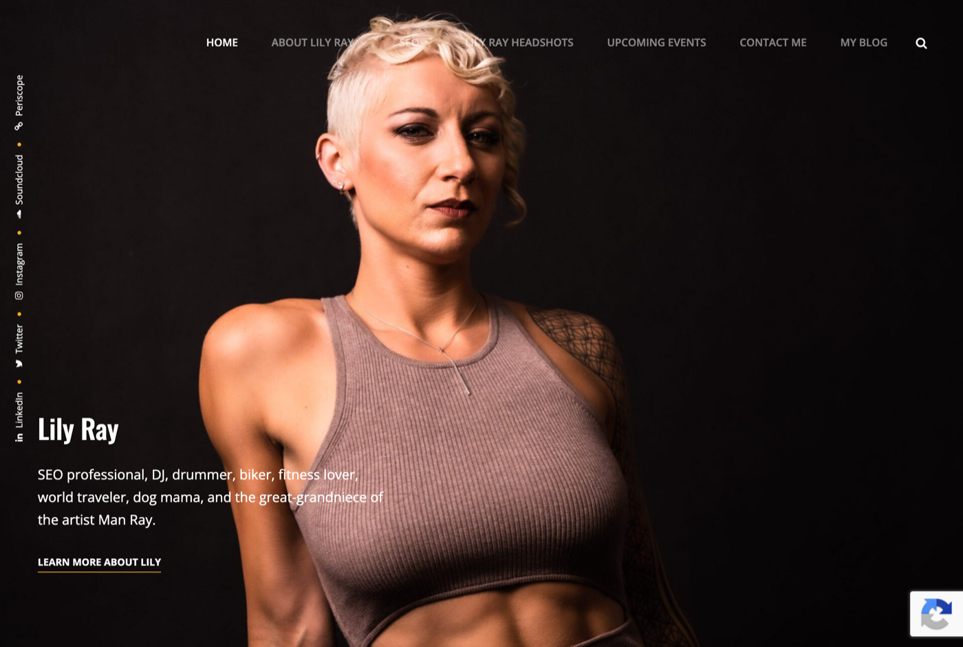 Lily Ray 的官网 lilyray.nyc 截图——Amsive SEO 总监 · AI Overviews 研究者——来源:lilyray.nyc